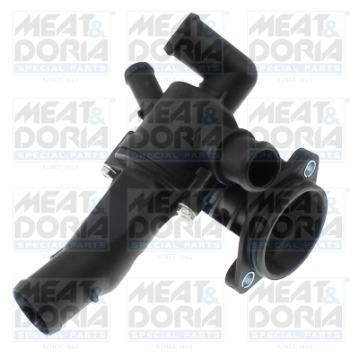 Thermostat, coolant